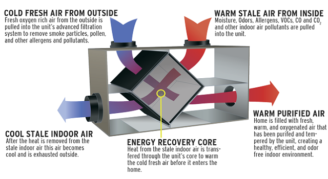 recovery-diagram